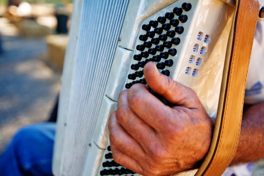 Cajun Creole Market Accordion Image